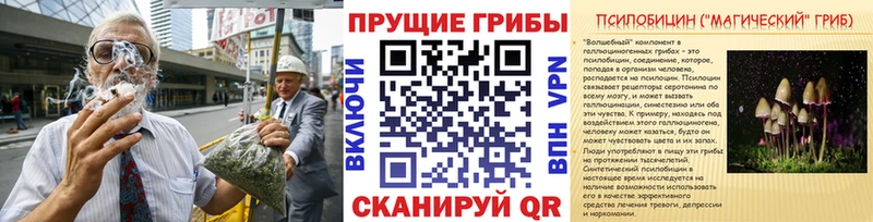 Галлюциногенные грибы GOLDEN TEACHER  Фролово 